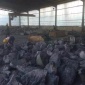 碳化硅_耐磨材料_鑄鐵陶瓷_鑫澤冶金_生產(chǎn)碳化硅公司
